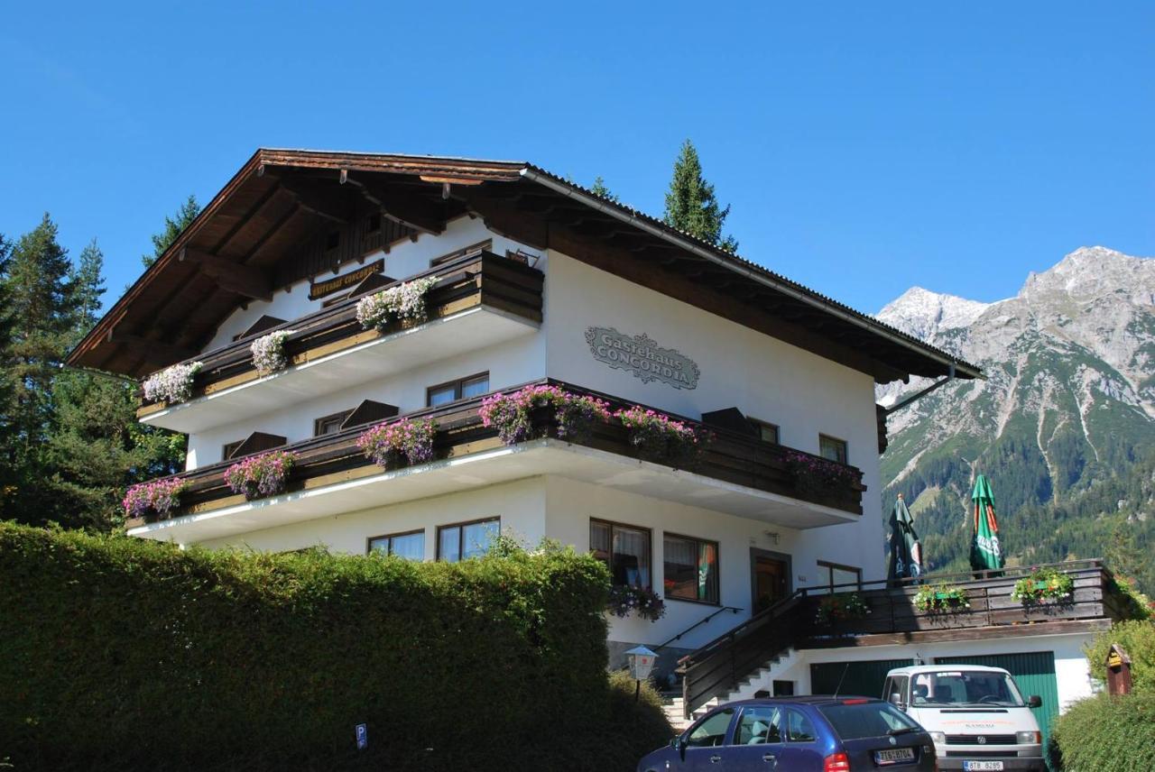 Pension Concordia Aktuel Ramsau am Dachstein Exteriör bild